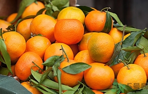 橘子白色的絲吃了好不好？橘子白色的絲能吃嗎？