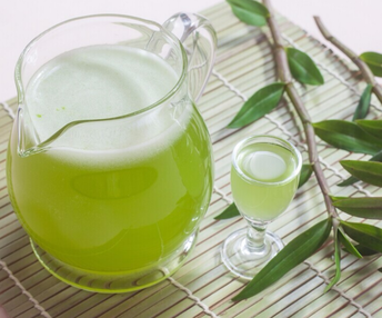 鐵皮石斛怎么吃？鐵皮石斛的功效與作用