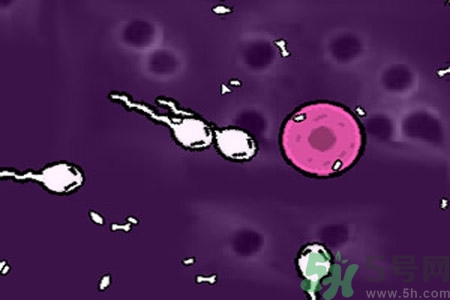 哪些人最容易患陰道炎？陰道炎影響懷孕嗎？