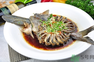 孕婦可以吃鴨嘴魚(yú)嗎?孕婦吃鴨嘴魚(yú)有什么好處? 孕婦可以吃鴨嘴魚(yú)嗎?孕婦吃鴨嘴魚(yú)有什么好處?