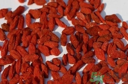 枸杞發(fā)黑能吃嗎？枸杞發(fā)黑是怎么回事？