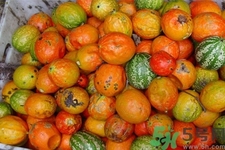 瓜蔞的功效作用 瓜蔞的藥用價(jià)值 瓜蔞的功效作用 瓜蔞的藥用價(jià)值