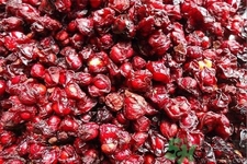 北五味子的功效作用 北五味子的禁忌 北五味子的功效作用 北五味子的禁忌