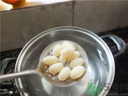 烏龜?shù)爸蟛皇煸趺崔k？烏龜?shù)爸蠖嗑媚艹?