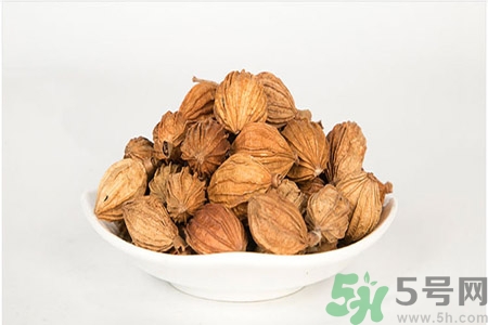 香砂的功效作用 香砂與砂仁的區(qū)別 香砂的功效作用 香砂與砂仁的區(qū)別