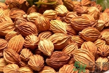 香砂的功效作用 香砂與砂仁的區(qū)別 香砂的功效作用 香砂與砂仁的區(qū)別