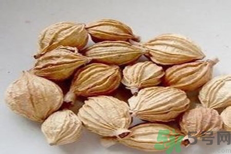 香砂的功效作用 香砂與砂仁的區(qū)別 香砂的功效作用 香砂與砂仁的區(qū)別