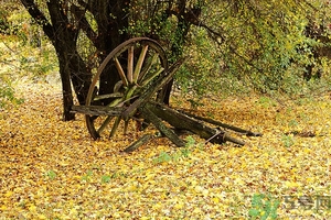 秋燥吃什么好？秋燥怎么辦？