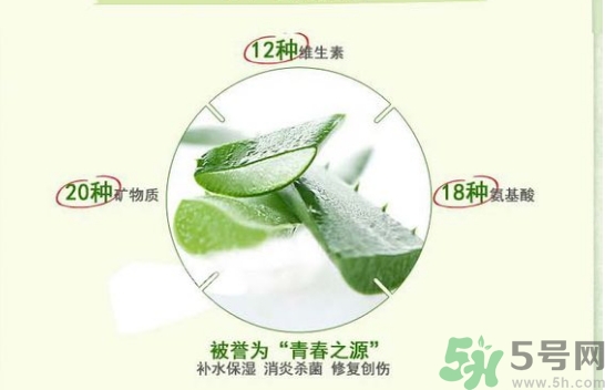 the saem得鮮和自然樂園哪個好？得鮮的蘆薈膠和自然樂園哪個好？