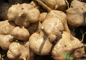 地瓜可以和蝦一起吃嗎？地瓜和什么不能一起吃？