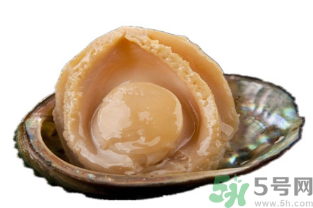 鮑魚如何挑選？鮑魚怎么保存？