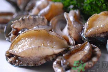 鮑魚的營(yíng)養(yǎng)價(jià)值有哪些？鮑魚的藥用價(jià)值是什么？