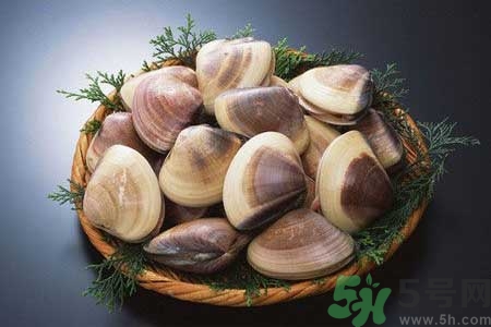 花蛤怎么洗？生取蛤肉的方法有哪些？