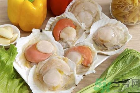 如何挑選扇貝？活扇貝怎么保存？