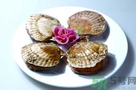 如何挑選扇貝？活扇貝怎么保存？