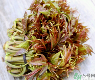 孕婦可以吃香椿嗎？孕婦吃香椿的好處及注意事項(xiàng)