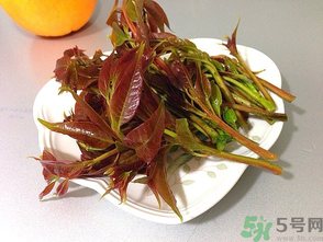 孕婦可以吃香椿嗎？孕婦吃香椿的好處及注意事項(xiàng)