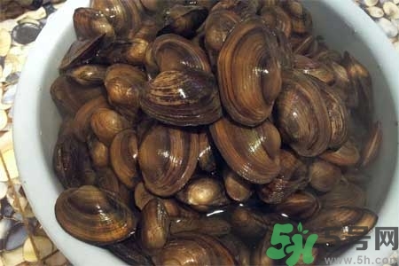 如何挑選河蚌？河蚌的營(yíng)養(yǎng)價(jià)值？