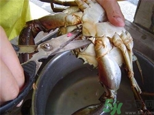 螃蟹怎么洗?螃蟹的清洗方法 螃蟹怎么洗?螃蟹的清洗方法