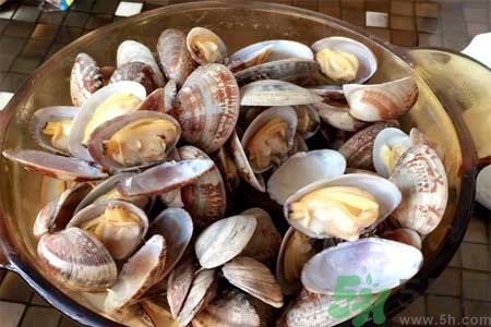 蛤蜊的食用方法有哪些？蛤蜊的營養(yǎng)價值是什么？