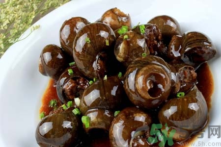 田螺肉怎樣做？田螺的營養(yǎng)價(jià)值有哪些？