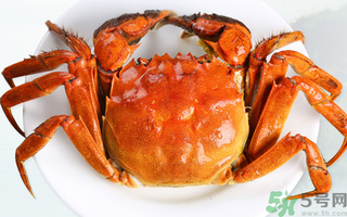 螃蟹一天吃多少合適?螃蟹一天最多吃幾個? 螃蟹一天吃多少合適?螃蟹一天最多吃幾個?