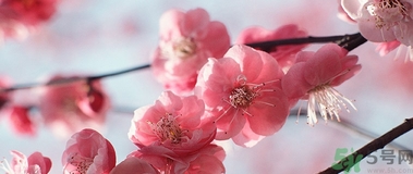 歐舒丹是什么牌子？歐舒丹是什么檔次的牌子？