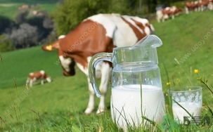 15歲男孩腰疼怎么回事？15歲男孩腰疼怎么辦？