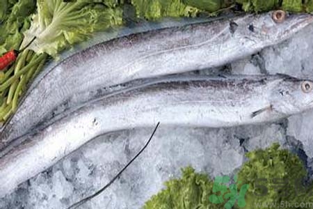 帶魚怎么洗？帶魚如何處理？