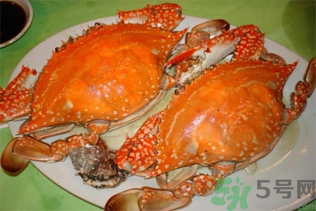 孕婦可以吃梭子蟹嗎？梭子蟹怎么洗？