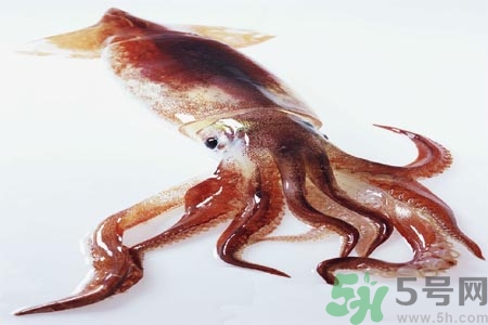 魷魚(yú)怎么處理？干魷魚(yú)怎么泡發(fā)？