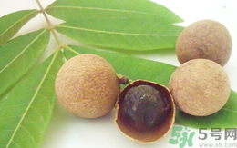 孕婦可以吃干桂圓嗎？孕婦吃干桂圓好嗎？