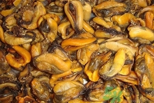 淡菜是什么？淡菜的營養(yǎng)價值有哪些？