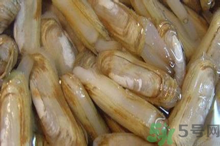 蟶子怎么洗？新鮮蟶子怎么挑選？