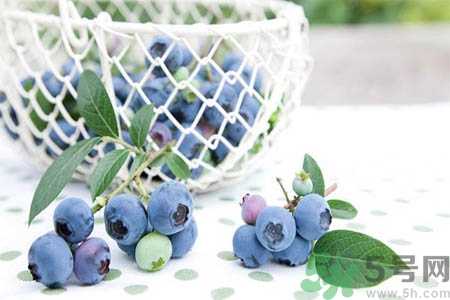 藍(lán)莓怎么洗？藍(lán)莓可以怎么吃？