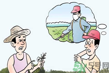 怎么洗掉水果上的農(nóng)藥？農(nóng)藥殘留的危害有哪些？