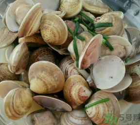 孕婦可以吃文蛤嗎？文蛤的功效與作用