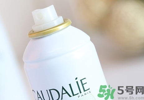 歐緹麗大葡萄噴霧成分 歐緹麗大葡萄噴霧味道 歐緹麗大葡萄噴霧成分 歐緹麗大葡萄噴霧味道