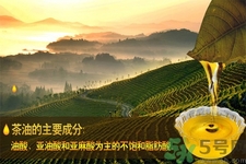 茶油是什么？茶油怎么吃？