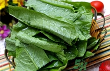 吃油麥菜有什么好處?油麥菜的功效與作用 吃油麥菜有什么好處?油麥菜的功效與作用