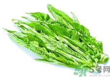 吃油麥菜有什么好處?油麥菜的功效與作用 吃油麥菜有什么好處?油麥菜的功效與作用