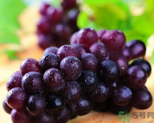 自釀葡萄可以吃嗎？自釀葡萄會產(chǎn)生氣壓嗎？