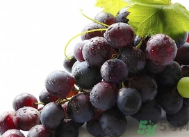 自釀葡萄可以吃嗎？自釀葡萄會產(chǎn)生氣壓嗎？