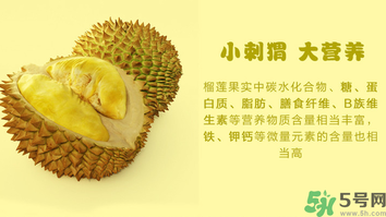 金枕頭榴蓮和普通榴蓮有什么區(qū)別？金枕頭榴蓮怎么挑？