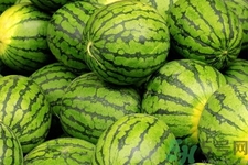 西瓜牛奶可以一起吃嗎？西瓜牛奶怎么做好吃？