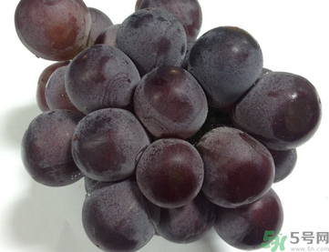 孕婦可以吃巨峰葡萄嗎？孕婦吃葡萄好嗎？