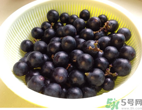 夏黑葡萄營(yíng)養(yǎng)價(jià)值 夏黑葡萄的功效與作用 夏黑葡萄營(yíng)養(yǎng)價(jià)值 夏黑葡萄的功效與作用