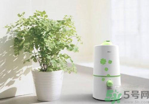 用加濕器好不好？用加濕器有什么危害？