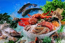 海鮮不能和什么一起吃？吃海鮮不能吃什么？