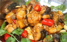 牛蛙的營養(yǎng)價值 牛蛙的功效與作用 牛蛙的營養(yǎng)價值 牛蛙的功效與作用